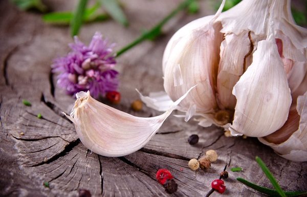 استفاده از سیر برای مقابله با ابرباکتریها