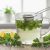 جعفری چیست؟ خواص، عوارض، طرز مصرف و فواید جعفری برای سلامتی