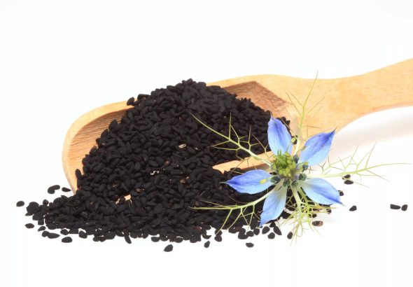سیاهدانه چیست؟ خواص، عوارض، طرز مصرف و فواید روغن سیاهدانه