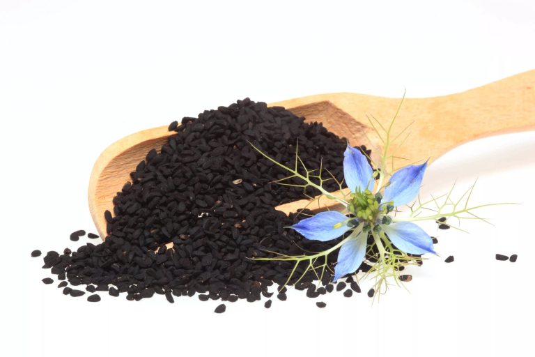 سیاهدانه چیست؟ خواص، عوارض، طرز مصرف و فواید روغن سیاهدانه