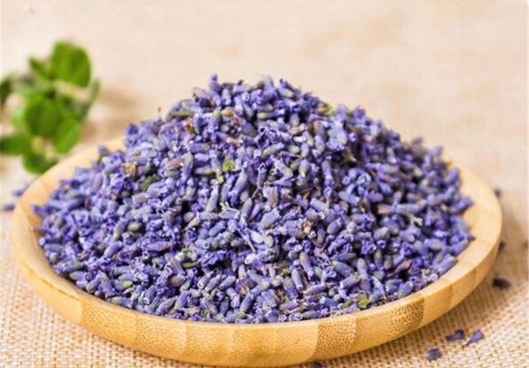 خواص اسطوخودوس | فواید، طرز مصرف، عوارض، دمنوش و روغن اسطوخودوس
