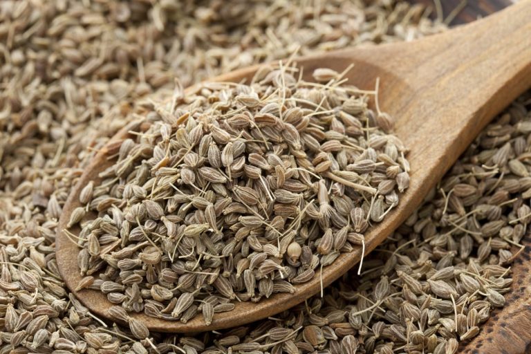 آنیسون؛ گیاه شگفت انگیز با دنیایی از فایده! (+عکس)