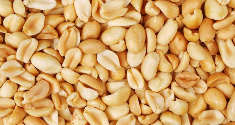ارزش غذایی و فواید مصرف بادام زمینی برای سلامتی