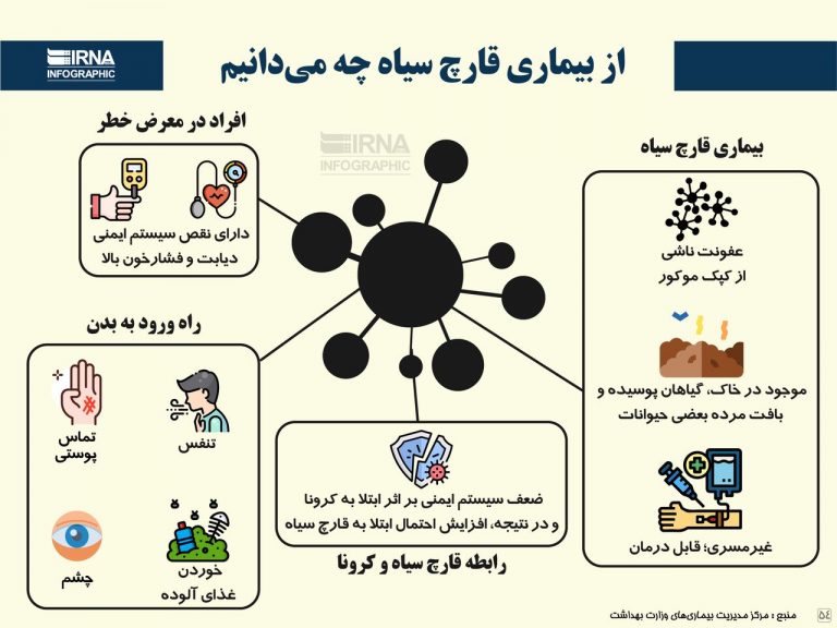 از "قارچ سیاه" چه می دانیم؟