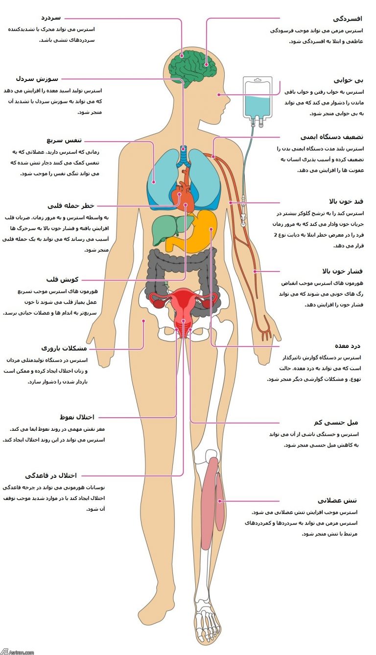 استرس مزمن و اندام های بدن ما! (+اینفوگرافی)