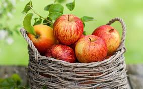 خوردن دانه سیب خطر مرگ را در پی دارد
