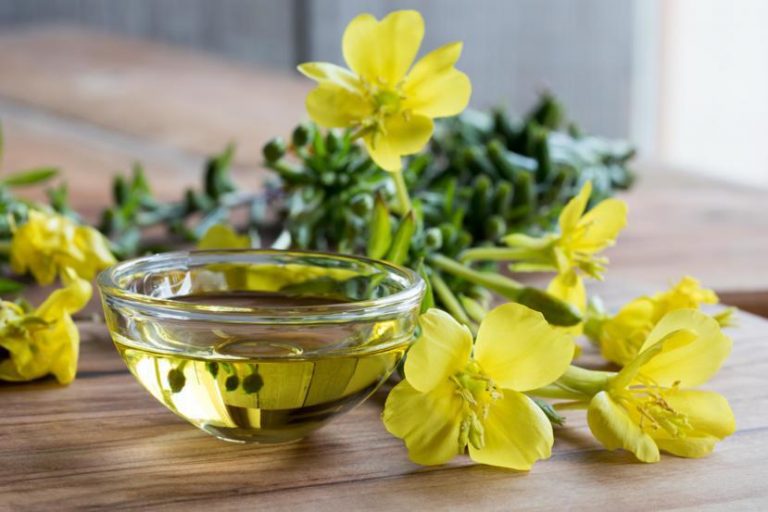 روغن گل مغربی: دارویی سنتی برای مشکلات قاعدگی تا فشار خون