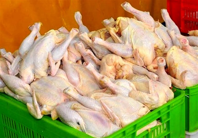 قلوه مرغ را هرگز نخورید
