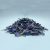 گل گاوزبان چیست؟ خواص، عوارض، طرز مصرف و فواید گل گاوزبان ایرانی